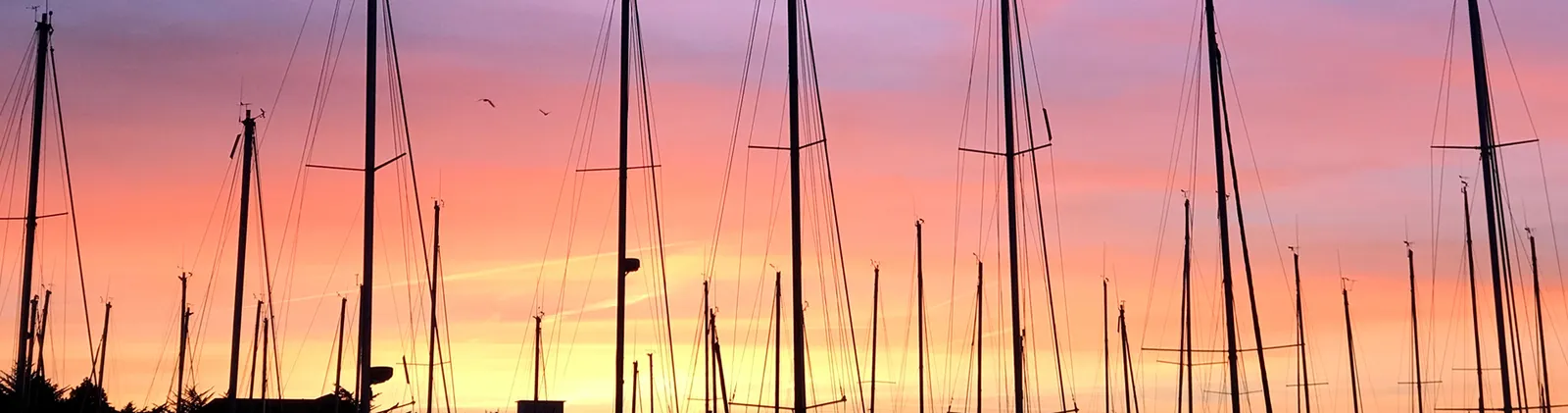 Mâts de voiliers dans le port au coucher du soleil
